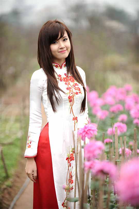 Beautiful Vietnamese Girl in a Vietnamese Dress