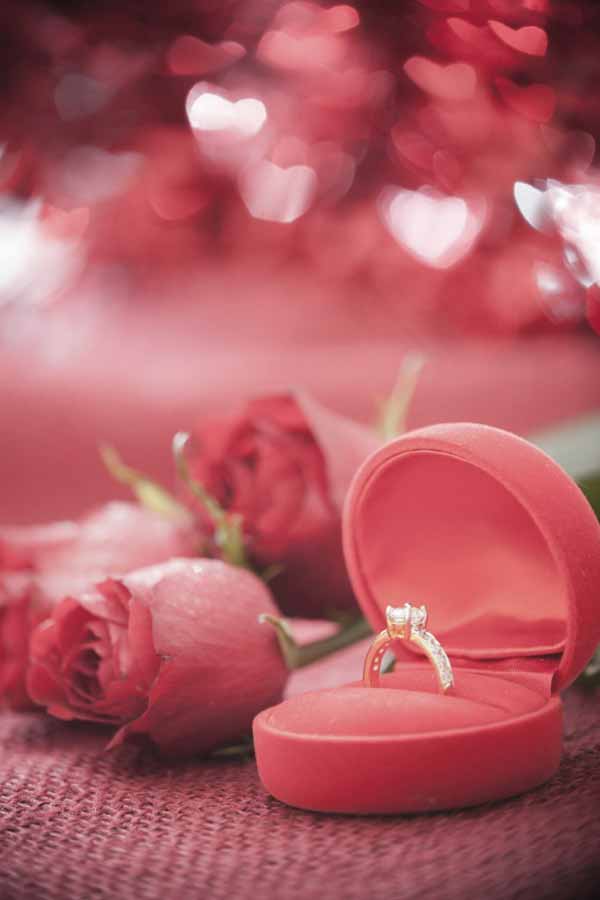 True love notion red rose and a proposal ring